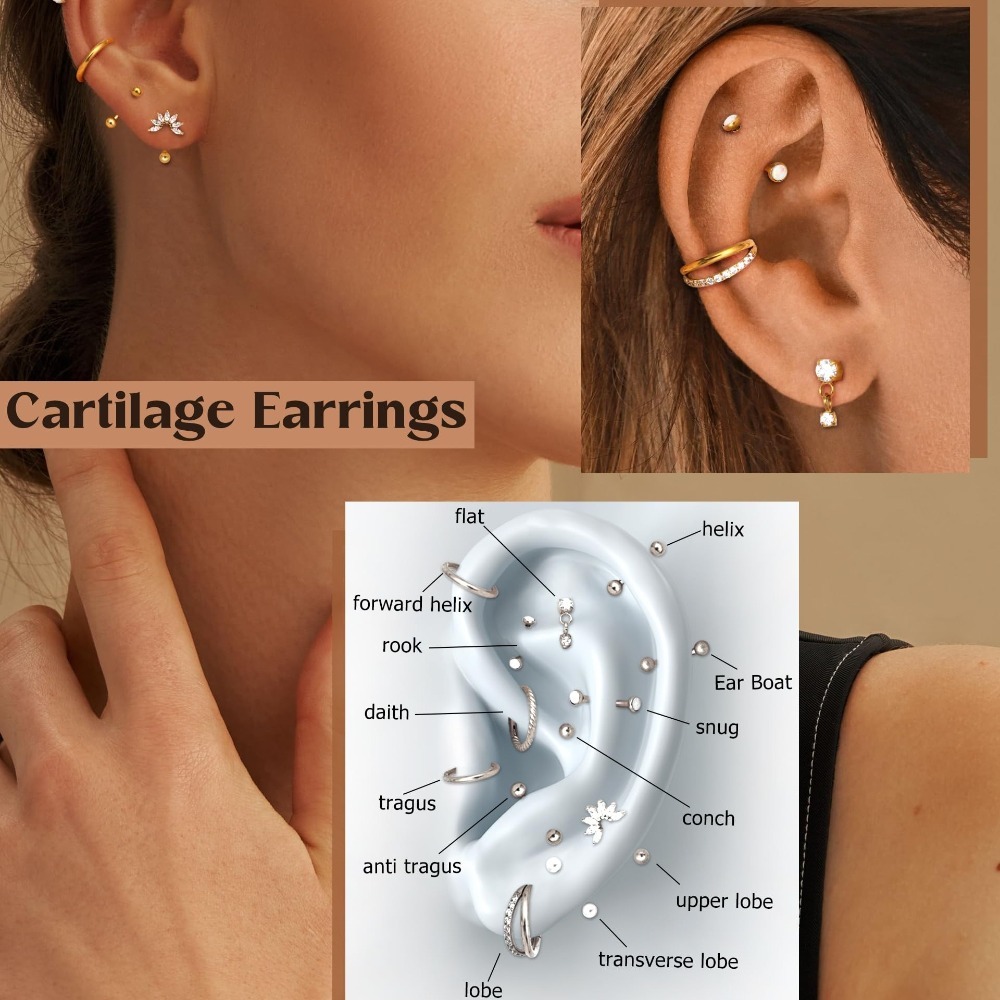 Drperfect 1PC Rook Eyebrow Pie - đánh giá và giá Rook Curved Barbell