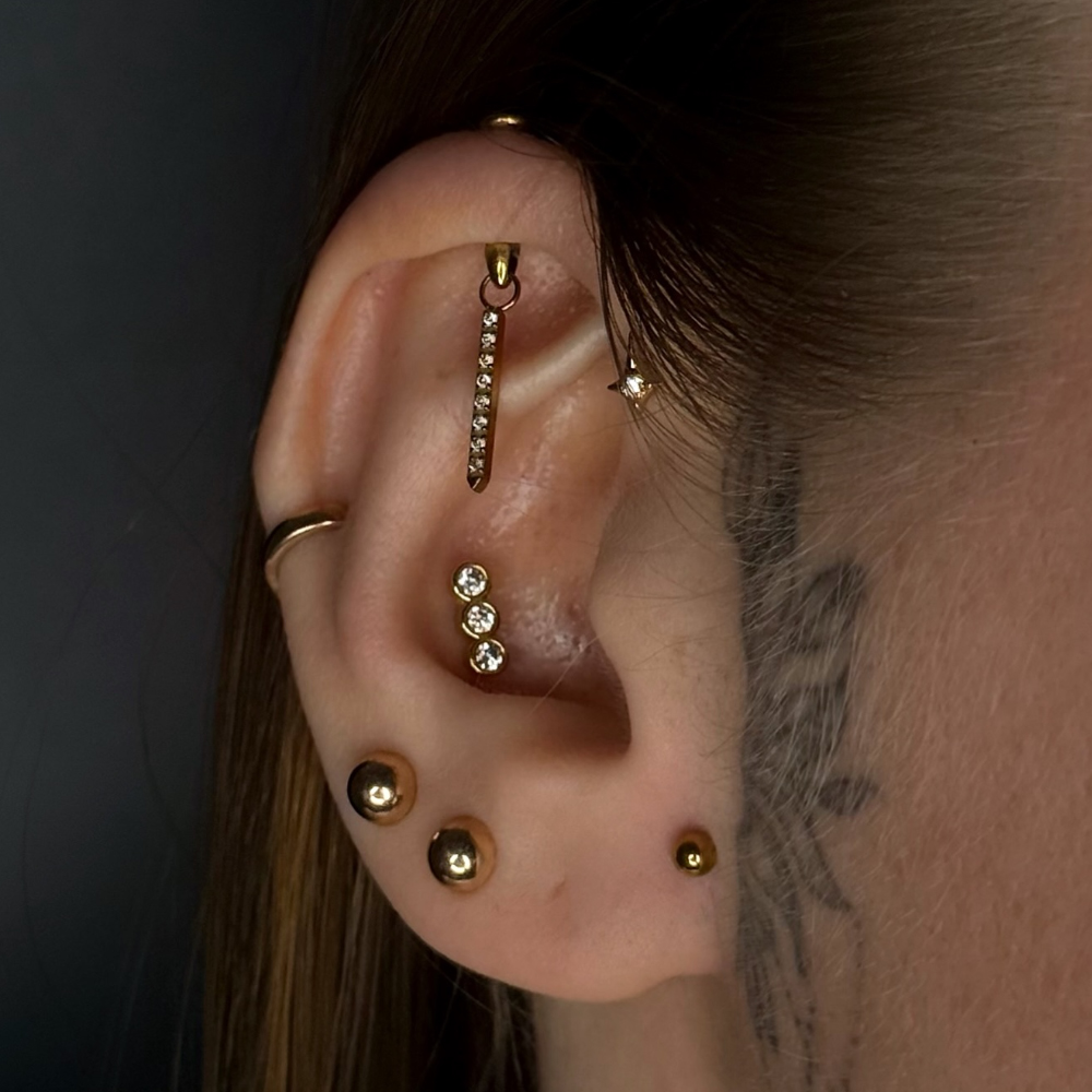 1PC G23 Titanium Hidden Vertic - đánh giá và giá Rook Curved Barbell