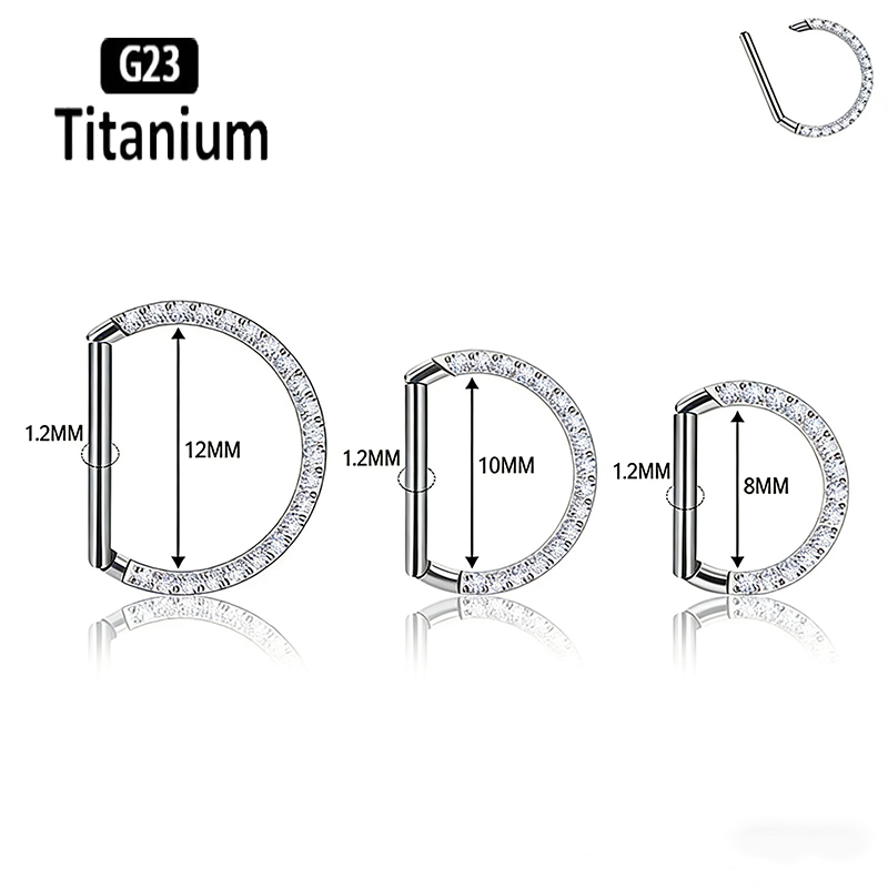 G23 Titanium Hinged Segment No - đánh giá và giá Rook Curved Barbell