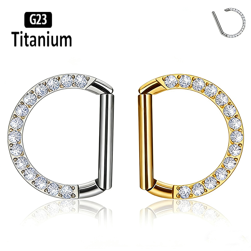 G23 Titanium Hinged Segment No - đánh giá và giá Rook Curved Barbell