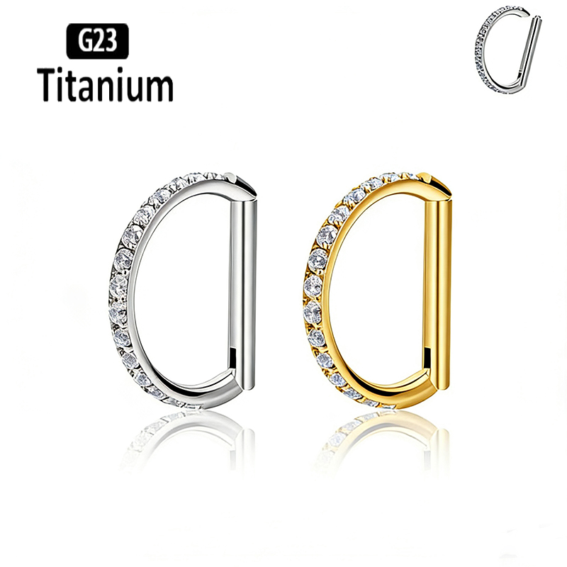 G23 Titanium Hinged Segment No - đánh giá và giá Rook Curved Barbell