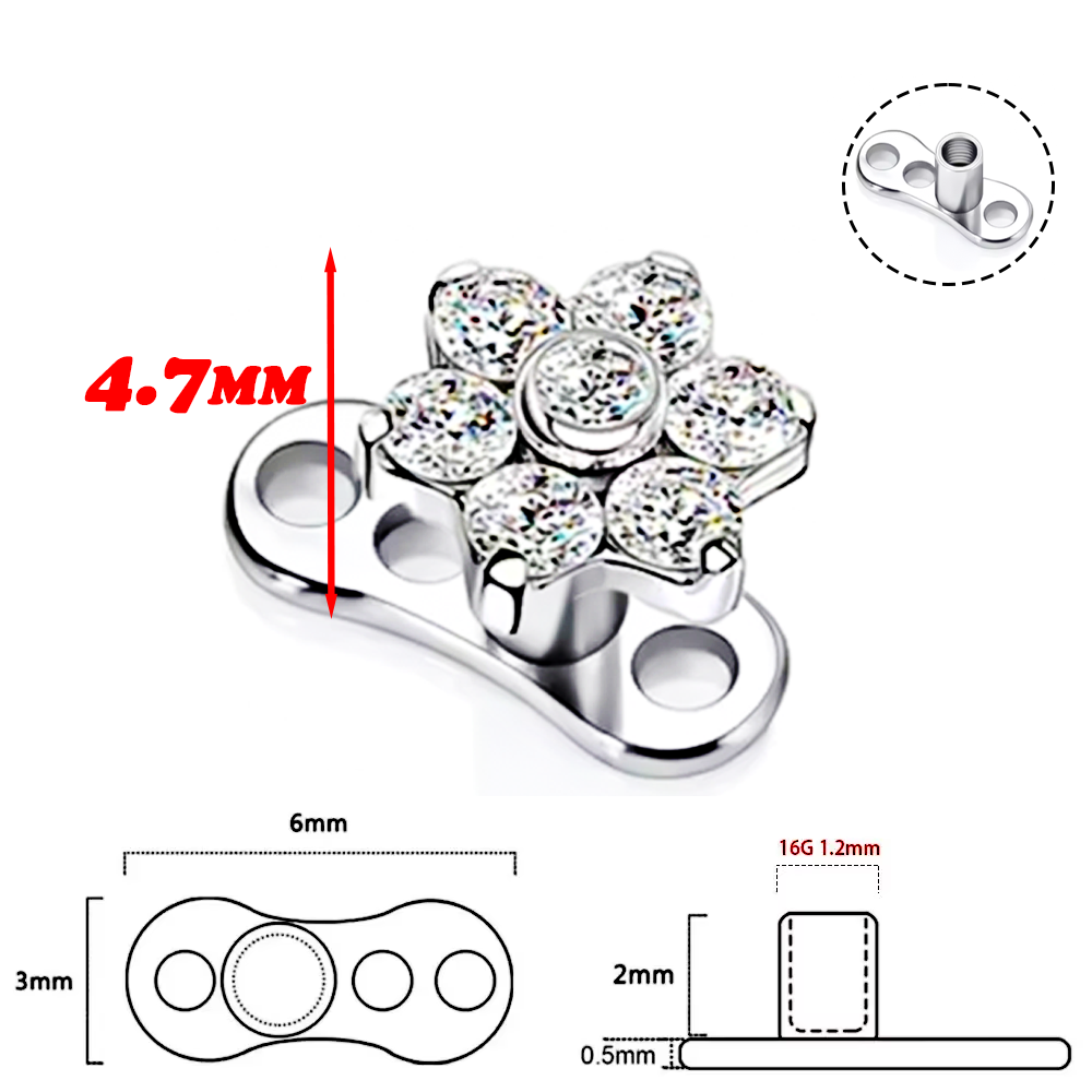 F136 Titanium Alloy High-Quali - đánh giá và giá Body Jewelry Quality