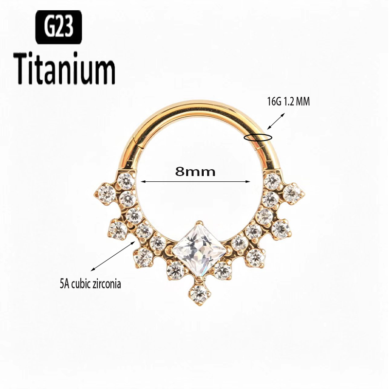 G23 Titanium High Quality Plan - đánh giá và giá Body Jewelry Quality