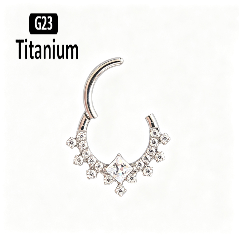G23 Titanium High Quality Plan - đánh giá và giá Body Jewelry Quality