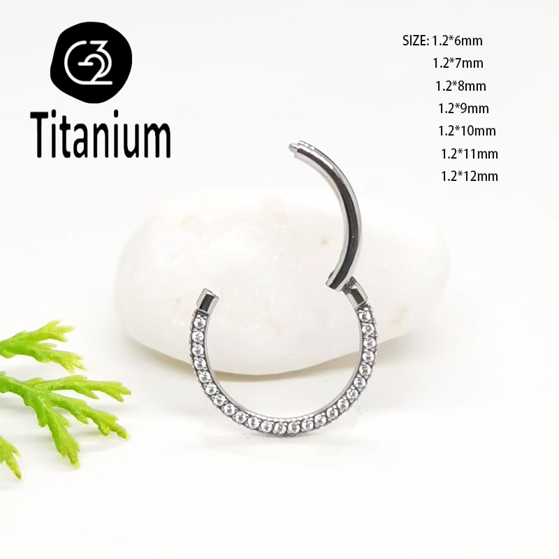 ASTM F136 G23 Titanium Piercin - đánh giá và giá Body Jewelry Quality
